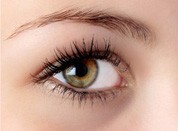 Strabisme, bekend als scheelzien, komt voor als één oog niet tegelijk met het andere oog naar hetzelfde voorwerp kijkt: één oog is normaal, en het andere oog kijkt in een andere richting.
