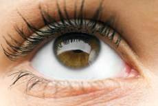 Verteilung augenfarbe Grüne Augen:
