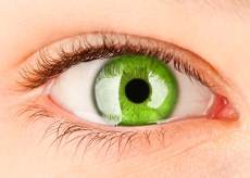 groen oog