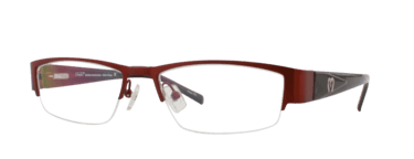 Exesto Chevrefeuille