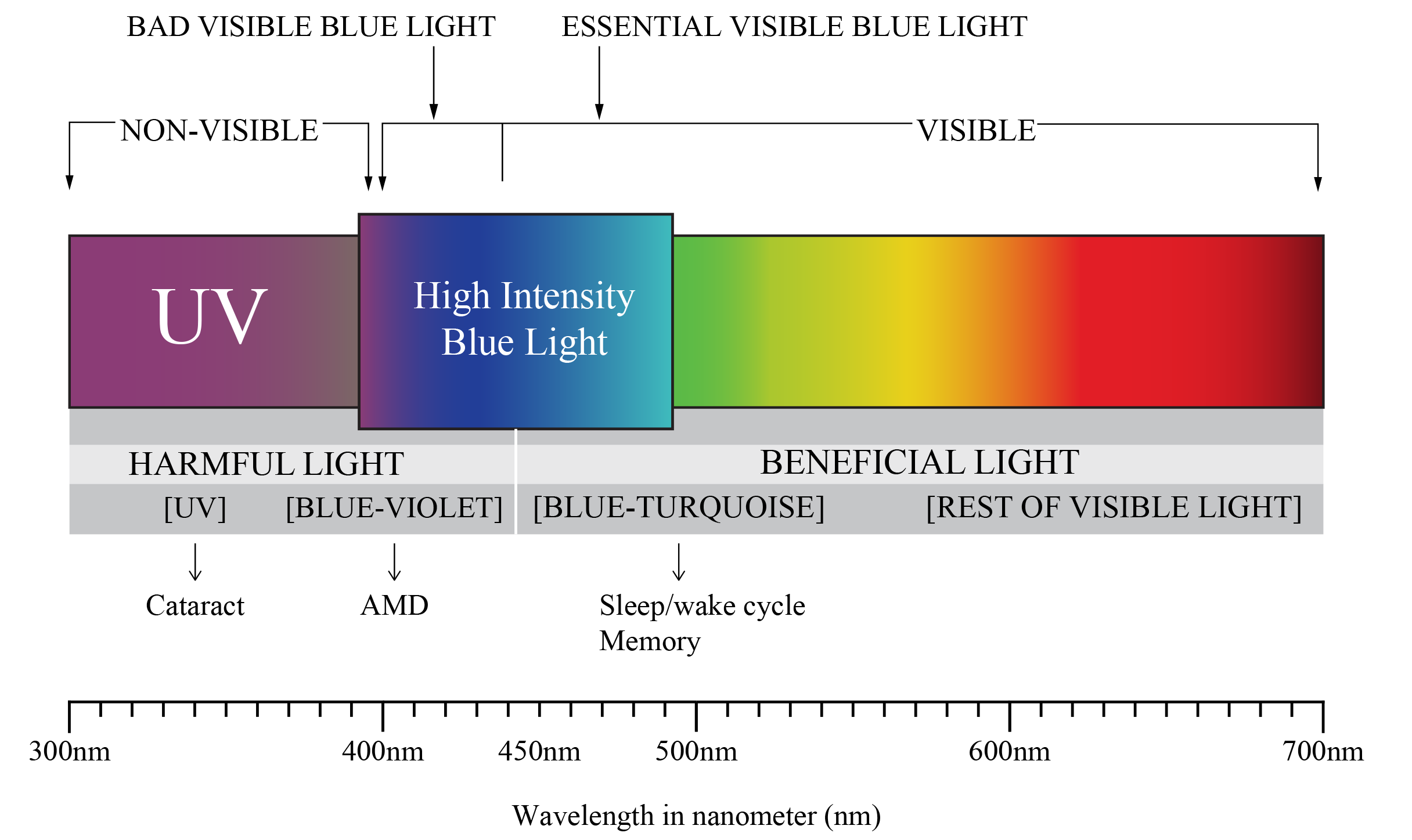 Blue Light Buy Prescription Glasses Online VisioRx
